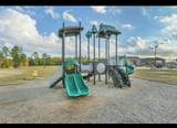 30280 Kingston Heath Drive - Photo 36