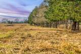 T B D County Road 318 - Photo 5
