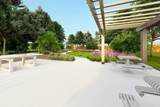 3602 Coreopsis Drive - Photo 8