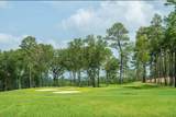 22278 Junction Peak Drive - Photo 45