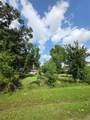 5110 El Centro Street - Photo 3