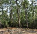 565 Sparkleberry Drive - Photo 11