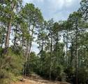 565 Sparkleberry Drive - Photo 12
