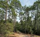 565 Sparkleberry Drive - Photo 13