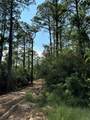 565 Sparkleberry Drive - Photo 2