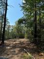 565 Sparkleberry Drive - Photo 4