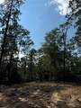 565 Sparkleberry Drive - Photo 5