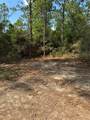 565 Sparkleberry Drive - Photo 9