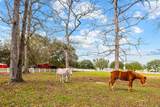 TBD Lakeland Court Lot 18 - Photo 10