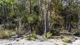 029 Sportsman Retreat Road - Photo 4