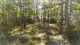 029 Sportsman Retreat Road - Photo 5