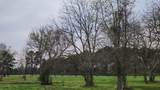 0 Indian Shores Road - Photo 2
