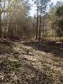 TBD County Road 3017C - Photo 4