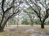 00 Runneburg Road - Photo 25