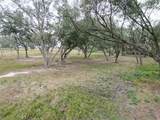 00 Runneburg Road - Photo 31