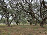 00 Runneburg Road - Photo 8