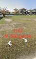 1167 Stingaree Drive - Photo 5