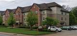 7550 Page Ave - Photo 3