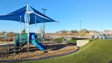 21278 Catalina Palm Drive - Photo 37