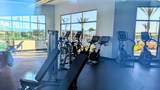 21278 Catalina Palm Drive - Photo 41