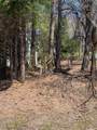 TBD Cedar Lane - Photo 2