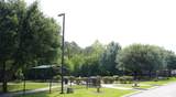 1615 Leafhopper Lane - Photo 22