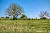 4921 Fm-390 - Photo 11