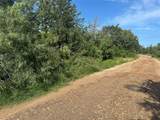 600 Blueberry Hill Road - Photo 3