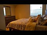 1301 Scott Ave - Photo 10