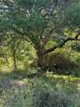15563 Tax ID Ramblewood County Road 281 Road - Photo 21