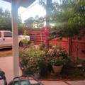 11960 Canal Street - Photo 37