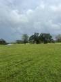 1238 Frontier Trail - Photo 5