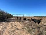 Lot 6 Us 283 - Photo 4