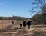 Lot 6 Us 283 - Photo 6