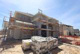 19903 Elegant Azalea Way - Photo 3