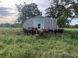 10496 County Road 321 - Photo 6