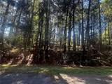 207 Green Tree Drive - Photo 1