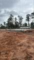 16859 Deep Wingbeat Way - Photo 14