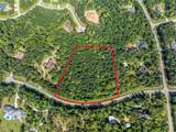 12627 Shady Woods Trail - Photo 11