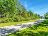 12627 Shady Woods Trail - Photo 17