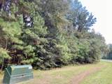 12627 Shady Woods Trail - Photo 19