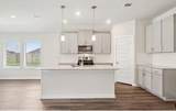 31102 Fermo Hills Lane - Photo 1