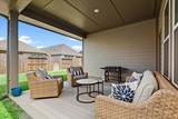 27134 Cutleaf Daisy Court - Photo 29