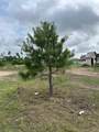 65 Road 5215 - Photo 6