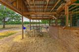 15303 Autumn Oaks Lane - Photo 24