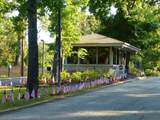 61 Sunny Hill Drive - Photo 6