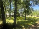 1418 Black Bear Drive - Photo 3