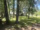 1418 Black Bear Drive - Photo 4