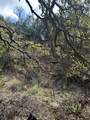 31291 Ranch Road 12 - Photo 3