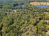 8715 Massey Lake Road - Photo 6
